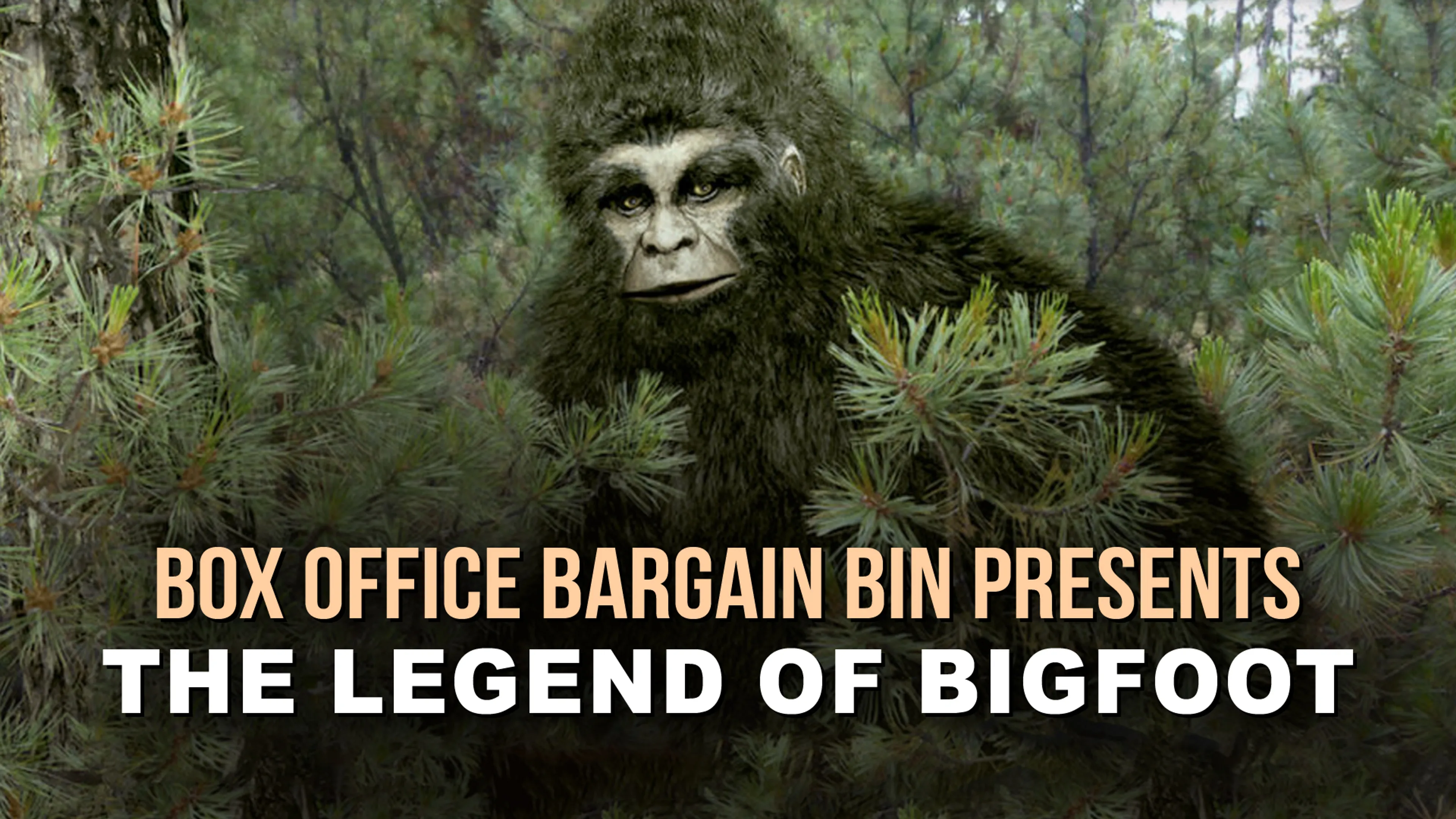 Box Office Bargain Bin Presents: The Legend of Bigfoot poster